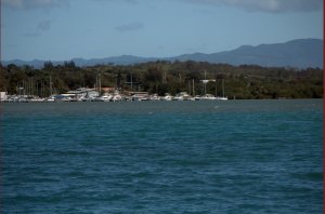 Marina Puerto Reaal