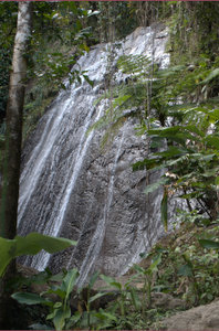 Coca-falls in El Ynque