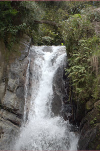 Waterval aan het eind van het Big Tree pad in El Yunque