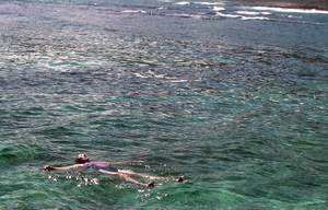 Ank zwemt in Baia das Gatas op de achtgrond breken de golven