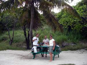 Barbecue onder de palmboom; het goede leven