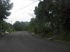 Weg vol bochten op St. Lucia