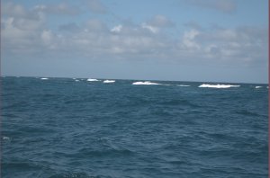 Golven slaan op rif bij Lynyard Cay