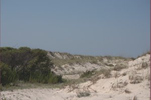 Prachtige duinen op Cumberland Island