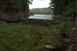 Beaver Pond Trail