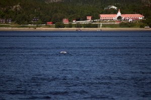 Hotel Tadoussac