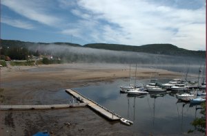 Marina in mist