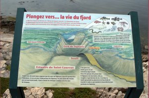 Bord met onderwaterrelief