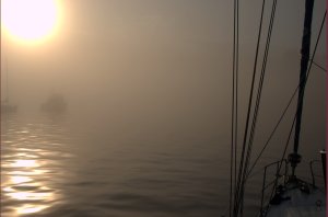 Bodyguard in mist