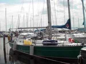 Bodyguard in box met mast