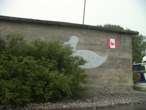 Main Duck vlag