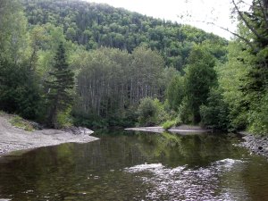 Beekje in La Grande Vallee