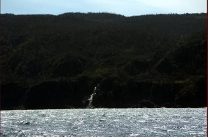 Waterval