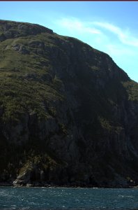 Hoge berg