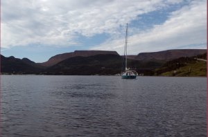Bodyguard in Bonne Bay