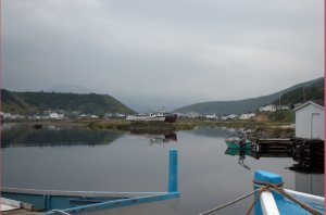 Trout River