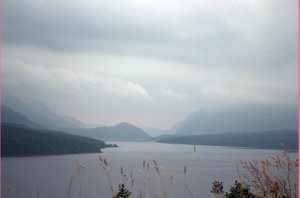Trout River Pond
