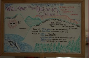 Bord Discovery Center