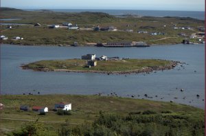Eilandje in de baai