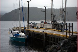 Bodyguard in Woody Point 