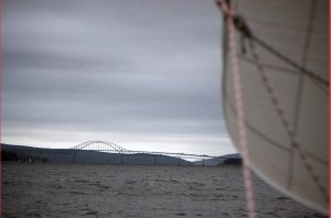 Fok en brug