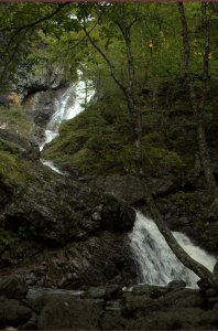 Waterval