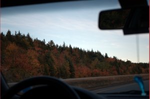 Herfstkleuren