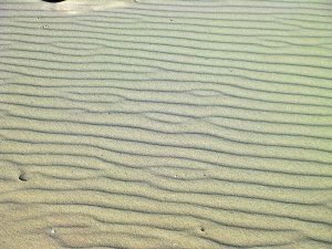Golfpatroon op strand