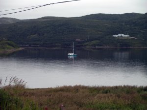 Bodyguard in Red Bay