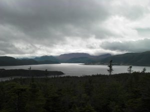 Bonne Bay