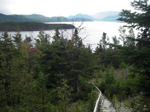 Wandelpad