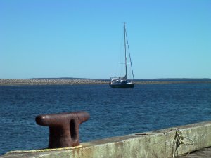 Bodyguard in Fishermans Harbour