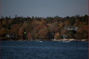 Herfstkleuren