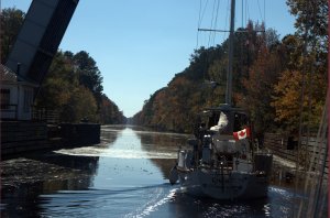 Uit sluis en Cristata