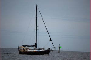 Perle Noir op ICW