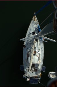 Bodyguard uit de mast