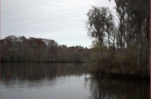 Waccamaw River