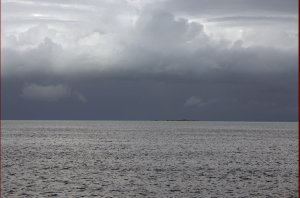 Squal