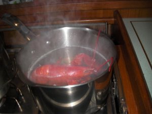 Kreeft in pan