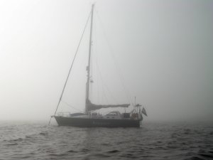 Bodyguard in mist
