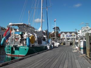 Bodyguard aan City Dock
