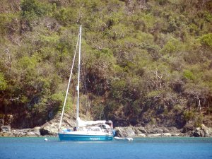 Bodyguard in Christmas Cove