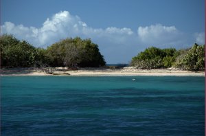 Isla de Cardona