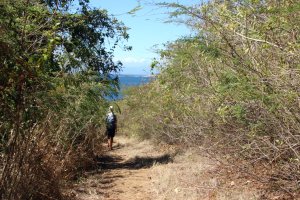  Carlos Rosario Trail 