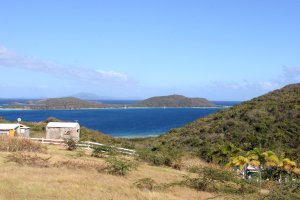 Culebrita