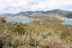Hassel Island