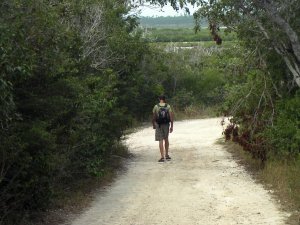 Dennis loopt over zandweg
