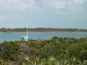 Bodyguard in Royal Island Harbor