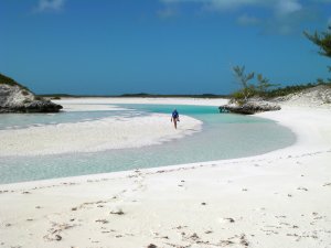 Ank loopt over strand