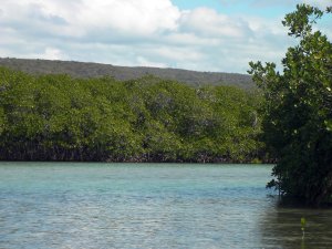 Gilligans Island
